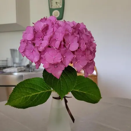 Sonnenschein Апартаменты